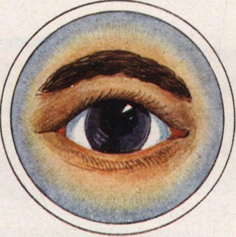 An illustration from General catalog 1911-1912, 1912, leaf 459