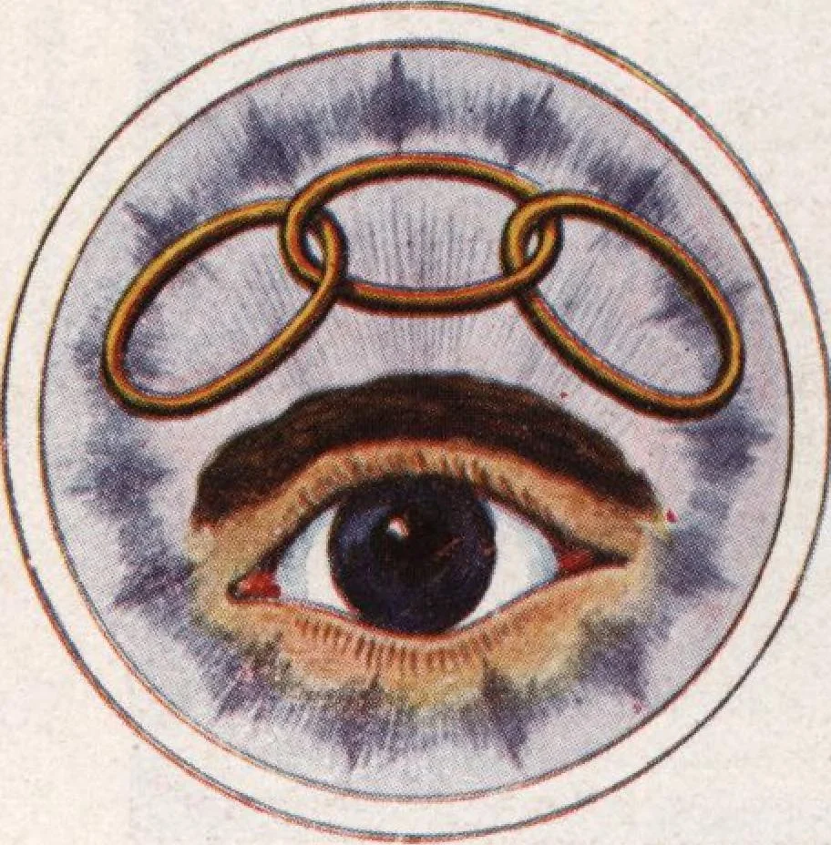 An illustration from General catalog 1911-1912, 1912, leaf 459