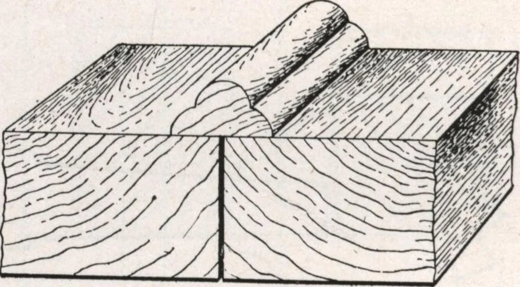 An illustration from General catalog 1911-1912, 1912, leaf 87