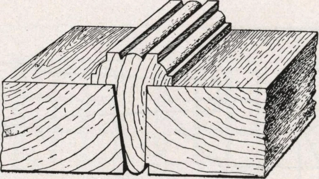 An illustration from General catalog 1911-1912, 1912, leaf 87