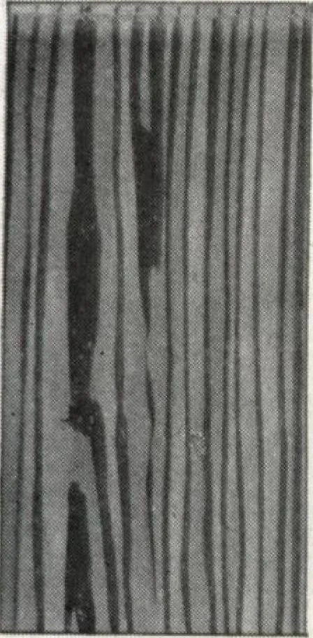 An illustration from General catalog 1917 including official sash and door price list, 1917, leaf 148