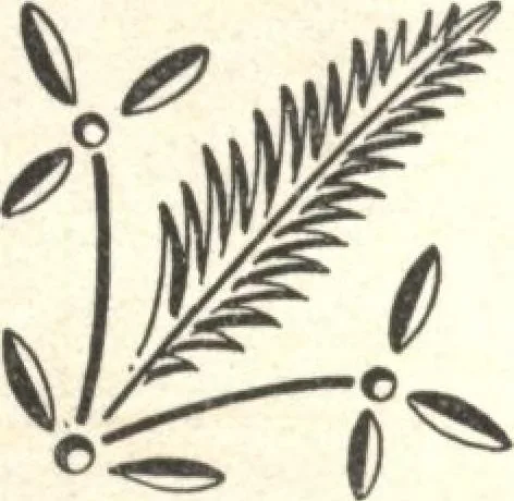 An illustration from General catalogue of E.L. Roberts & Co., wholesale manufacturers of doors, glazed sash, blinds: no. 600, 1908, leaf 107