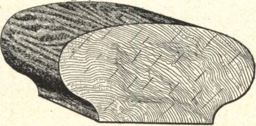 An illustration from General catalogue of E.L. Roberts & Co., wholesale manufacturers of doors, glazed sash, blinds: no. 600, 1908, leaf 120
