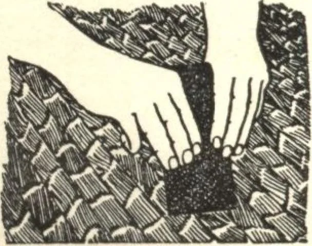 An illustration from General catalogue of E.L. Roberts & Co., wholesale manufacturers of doors, glazed sash, blinds: no. 600, 1908, leaf 282