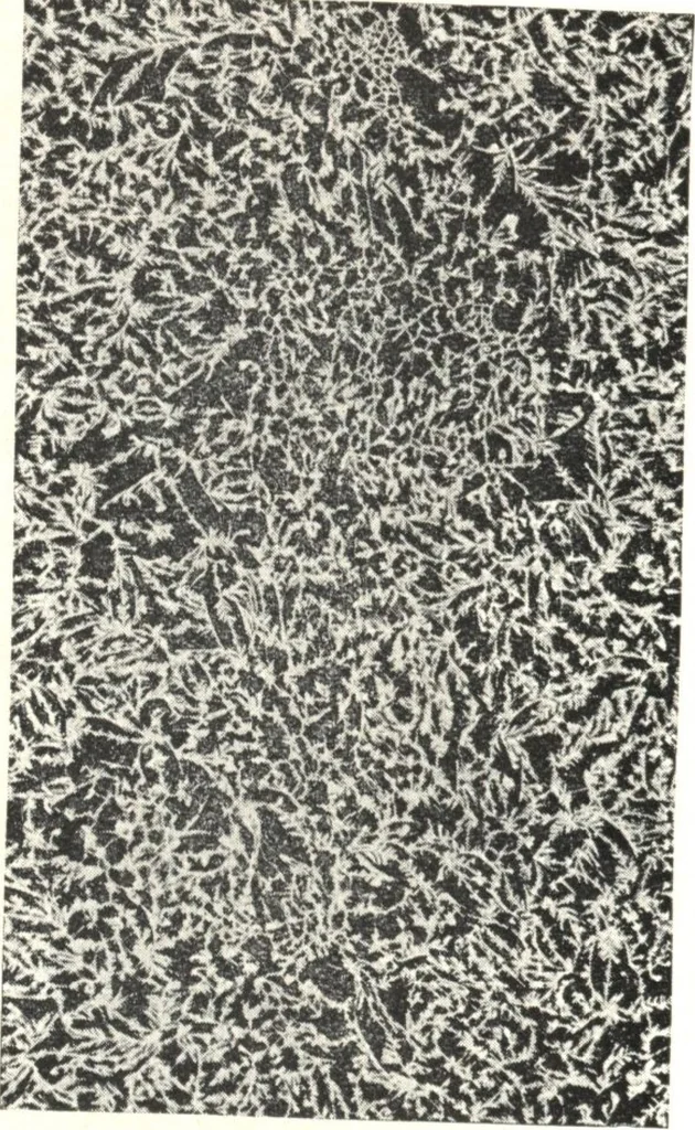 An illustration from General catalogue of E.L. Roberts & Co., wholesale manufacturers of doors, glazed sash, blinds: no. 600, 1908, leaf 326