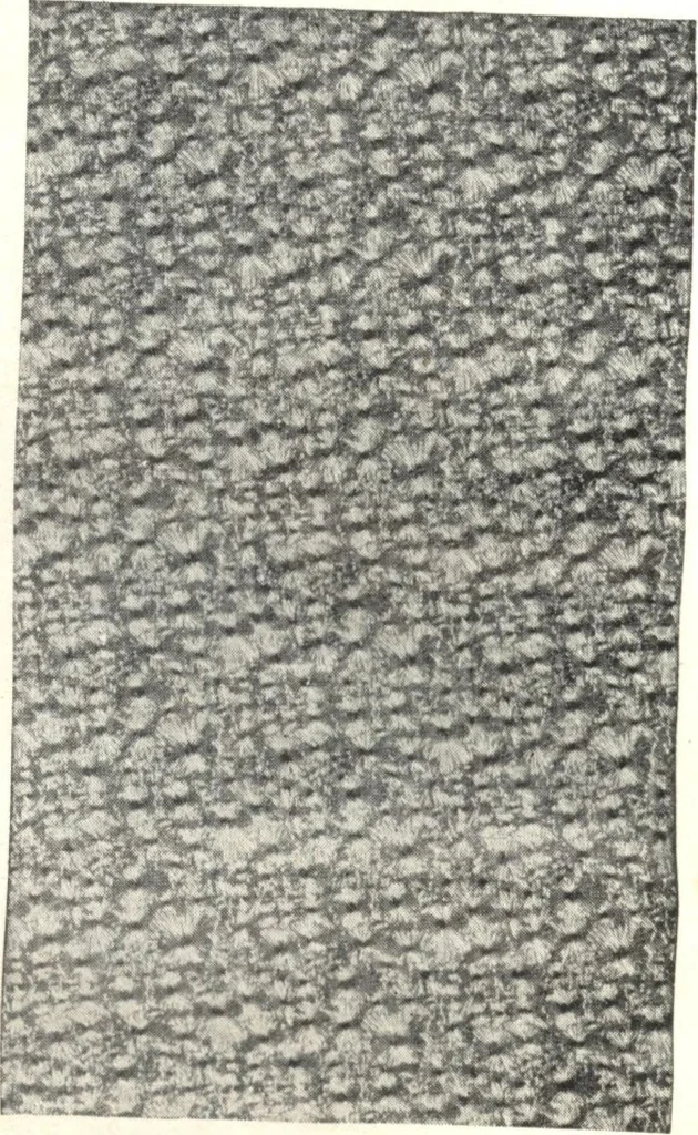 An illustration from General catalogue of E.L. Roberts & Co., wholesale manufacturers of doors, glazed sash, blinds: no. 600, 1908, leaf 326