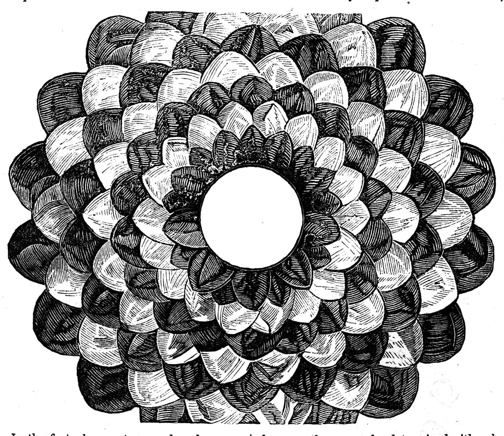 An illustration from Godey's Lady's Book April 1864, 1864, leaf 70