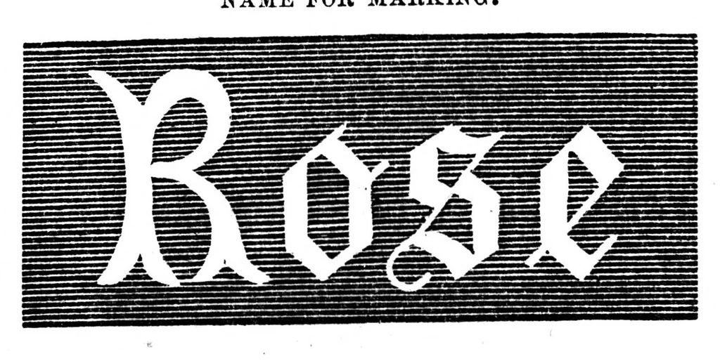 An illustration from Godey's Lady's Book April 1864, 1864, leaf 73