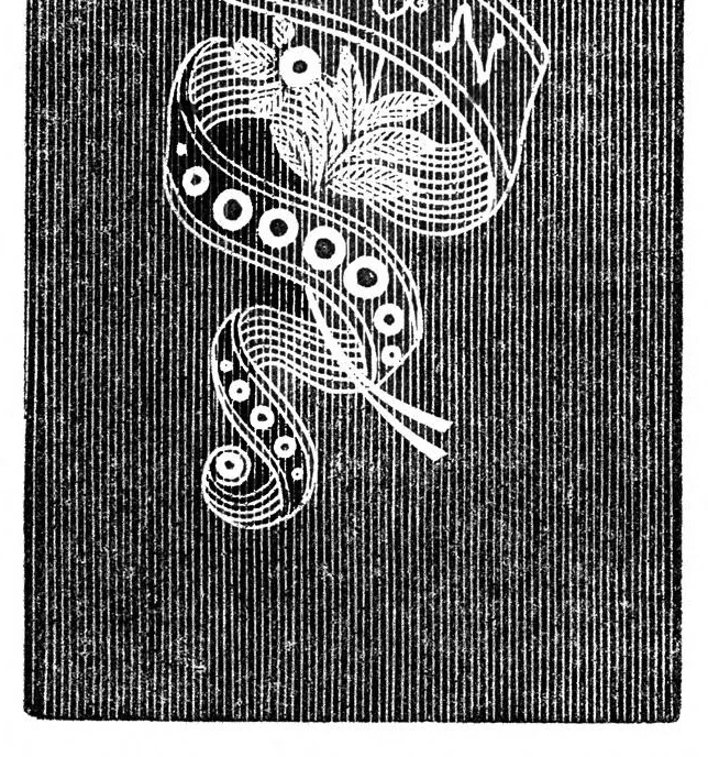 An illustration from Godey's Lady's Book February 1864, 1864, leaf 84