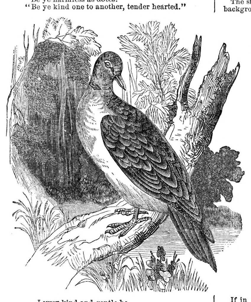 An illustration from Godey's Lady's Book January 1864, 1864, leaf 99