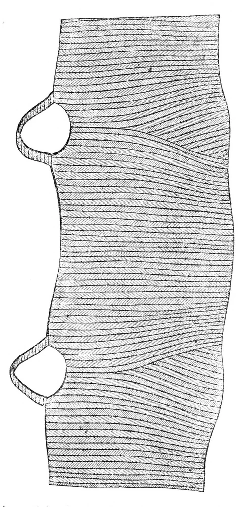 An illustration from Godey's Lady's Book July 1864, 1864, leaf 75