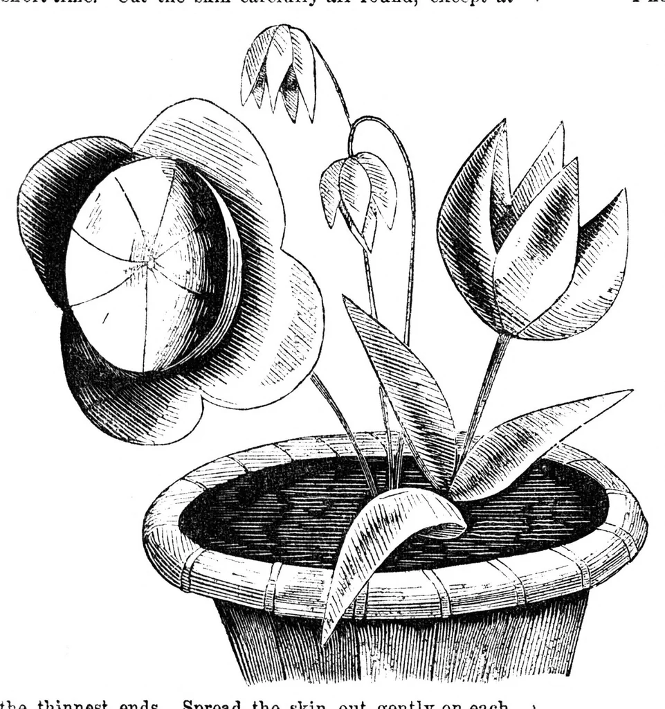 An illustration from Godey's Lady's Book March 1864, 1864, leaf 102
