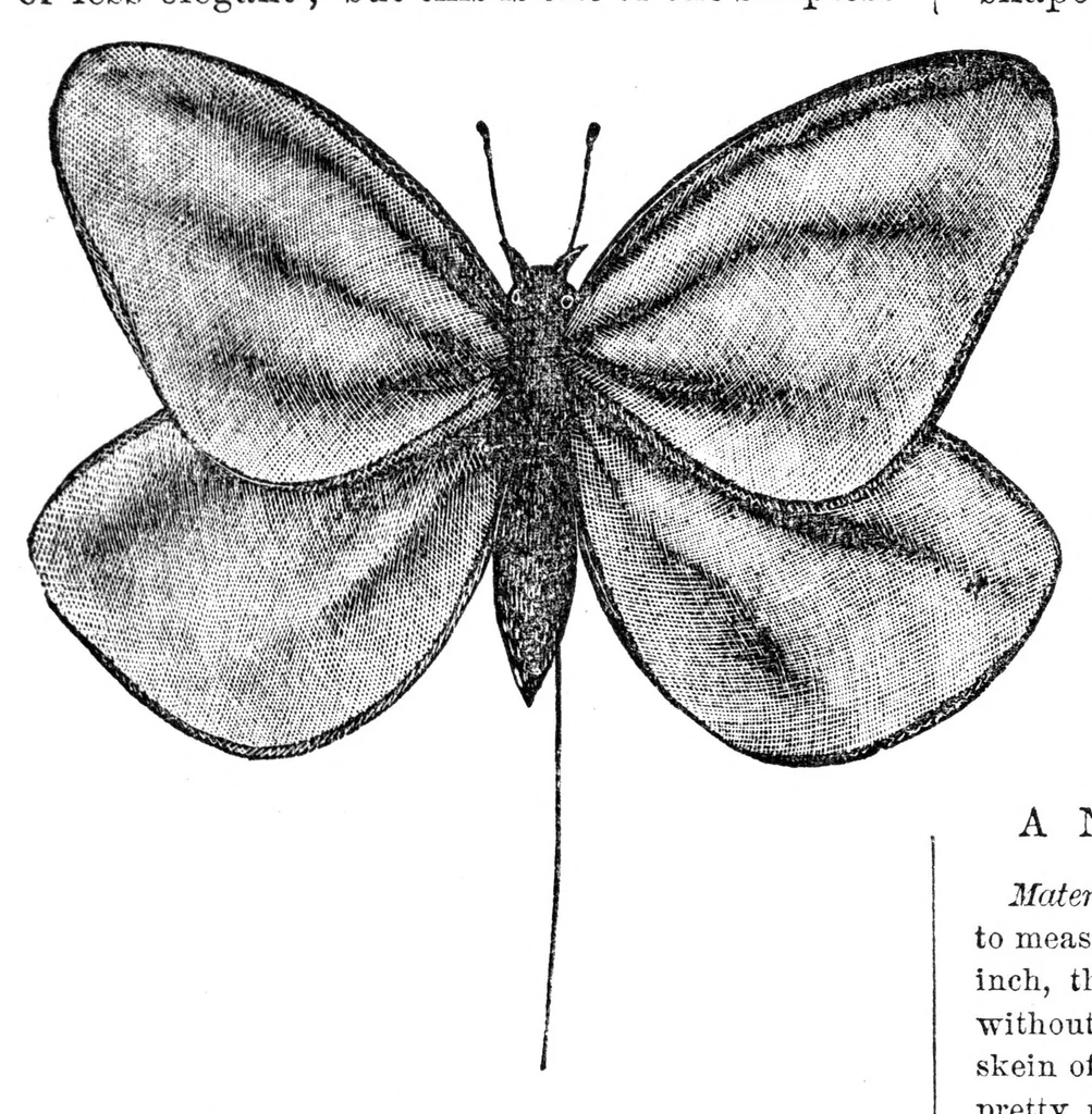 An illustration from Godey's Lady's Book May 1864, 1864, leaf 68
