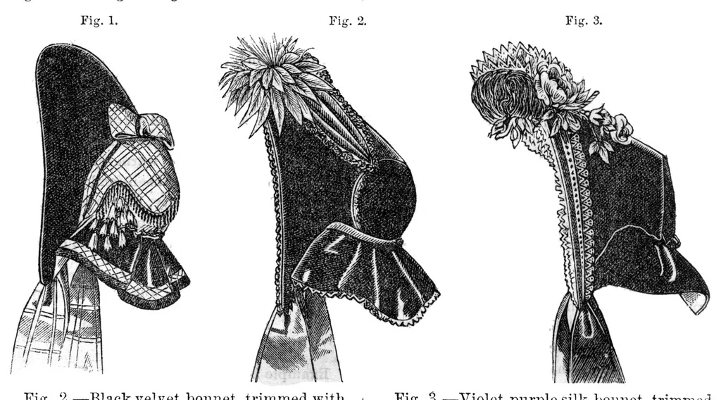 An illustration from Godey's Lady's Book November 1864, 1864, leaf 65