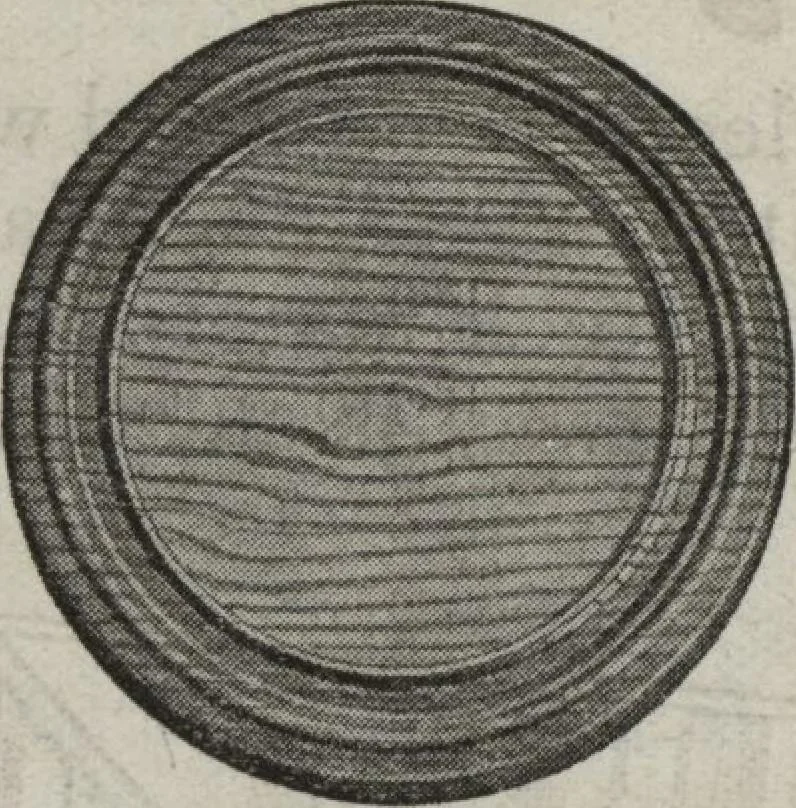 An illustration from Building material, 1918, leaf 52
