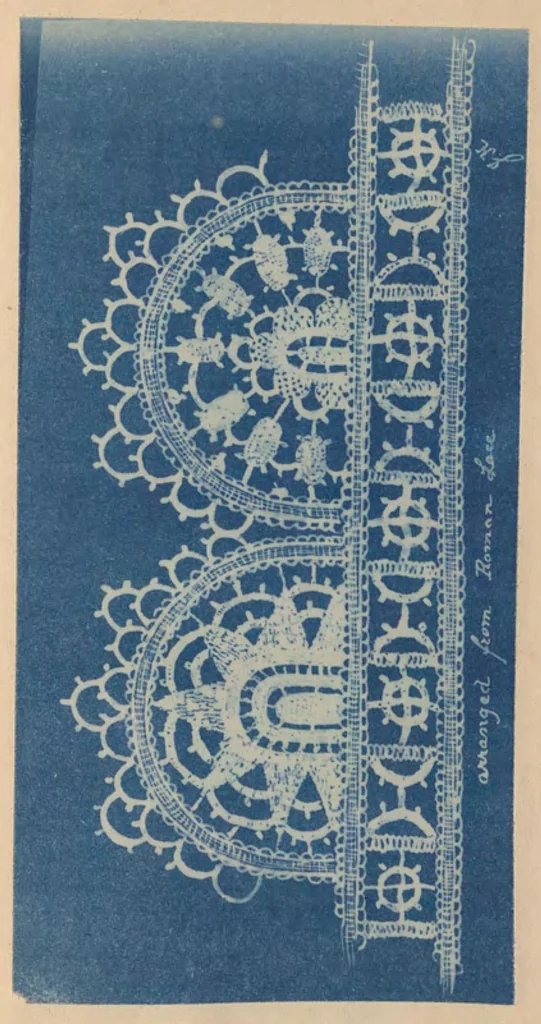 An illustration from A Handbook for Greek and Roman lace making, 1869, leaf 36
