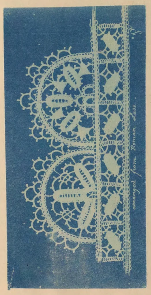 An illustration from A Handbook for Greek and Roman lace making, 1869, leaf 38