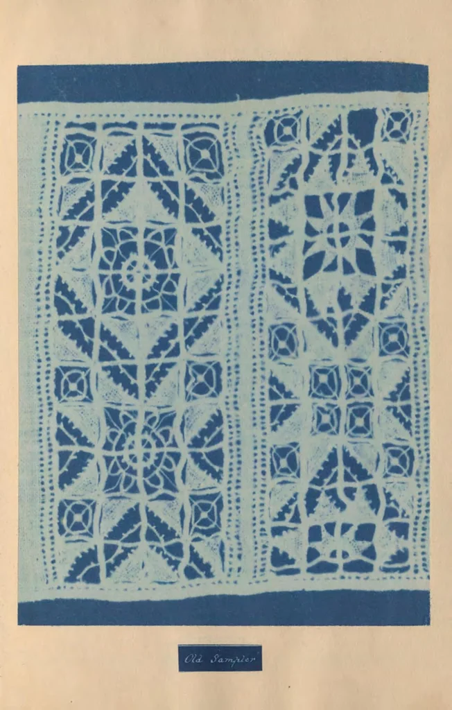 An illustration from A Handbook for Greek and Roman lace making, 1869, leaf 44