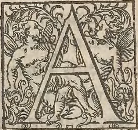 An illustration from Guilielmi Gilberti Colcestrensis, medici londinensis, De magnete : magneticisque corporibus, et de magno magnete tellure; physiologia noua, plurimis & argumentis, & experimentis demonstrata, 1600, leaf 100