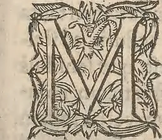An illustration from Guilielmi Gilberti Colcestrensis, medici londinensis, De magnete : magneticisque corporibus, et de magno magnete tellure; physiologia noua, plurimis & argumentis, & experimentis demonstrata, 1600, leaf 100