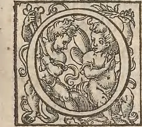 An illustration from Guilielmi Gilberti Colcestrensis, medici londinensis, De magnete : magneticisque corporibus, et de magno magnete tellure; physiologia noua, plurimis & argumentis, & experimentis demonstrata, 1600, leaf 102