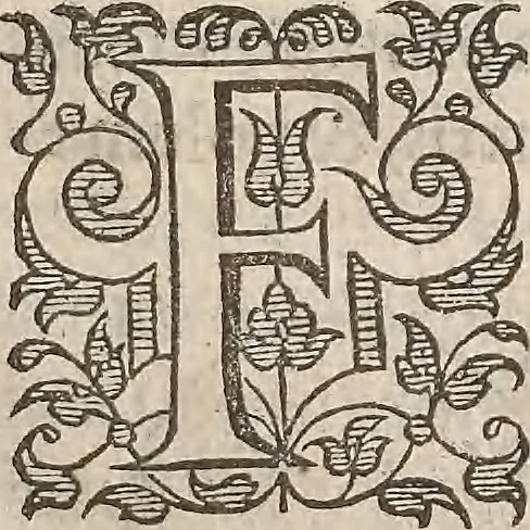 An illustration from Guilielmi Gilberti Colcestrensis, medici londinensis, De magnete : magneticisque corporibus, et de magno magnete tellure; physiologia noua, plurimis & argumentis, & experimentis demonstrata, 1600, leaf 104