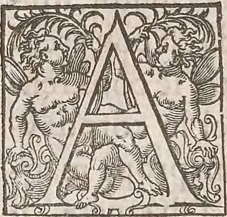An illustration from Guilielmi Gilberti Colcestrensis, medici londinensis, De magnete : magneticisque corporibus, et de magno magnete tellure; physiologia noua, plurimis & argumentis, & experimentis demonstrata, 1600, leaf 109