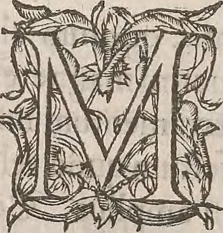 An illustration from Guilielmi Gilberti Colcestrensis, medici londinensis, De magnete : magneticisque corporibus, et de magno magnete tellure; physiologia noua, plurimis & argumentis, & experimentis demonstrata, 1600, leaf 109