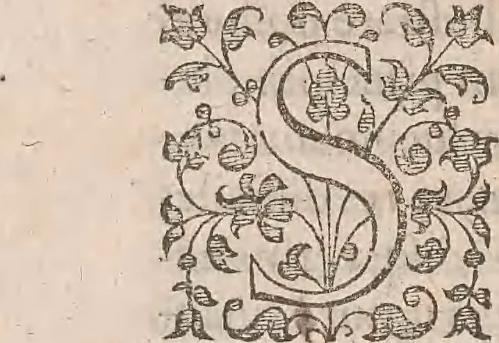An illustration from Guilielmi Gilberti Colcestrensis, medici londinensis, De magnete : magneticisque corporibus, et de magno magnete tellure; physiologia noua, plurimis & argumentis, & experimentis demonstrata, 1600, leaf 11