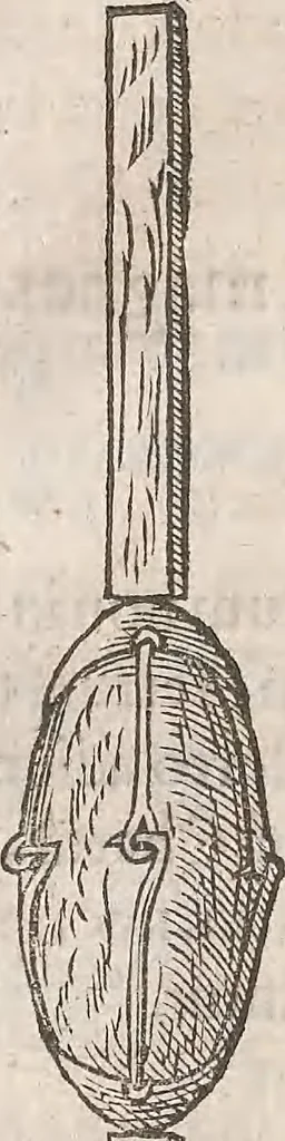 An illustration from Guilielmi Gilberti Colcestrensis, medici londinensis, De magnete : magneticisque corporibus, et de magno magnete tellure; physiologia noua, plurimis & argumentis, & experimentis demonstrata, 1600, leaf 111