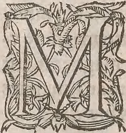 An illustration from Guilielmi Gilberti Colcestrensis, medici londinensis, De magnete : magneticisque corporibus, et de magno magnete tellure; physiologia noua, plurimis & argumentis, & experimentis demonstrata, 1600, leaf 111