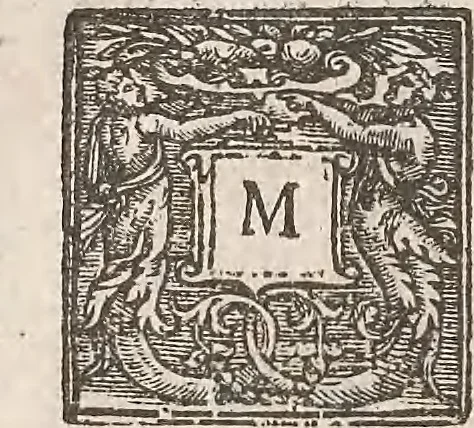 An illustration from Guilielmi Gilberti Colcestrensis, medici londinensis, De magnete : magneticisque corporibus, et de magno magnete tellure; physiologia noua, plurimis & argumentis, & experimentis demonstrata, 1600, leaf 113