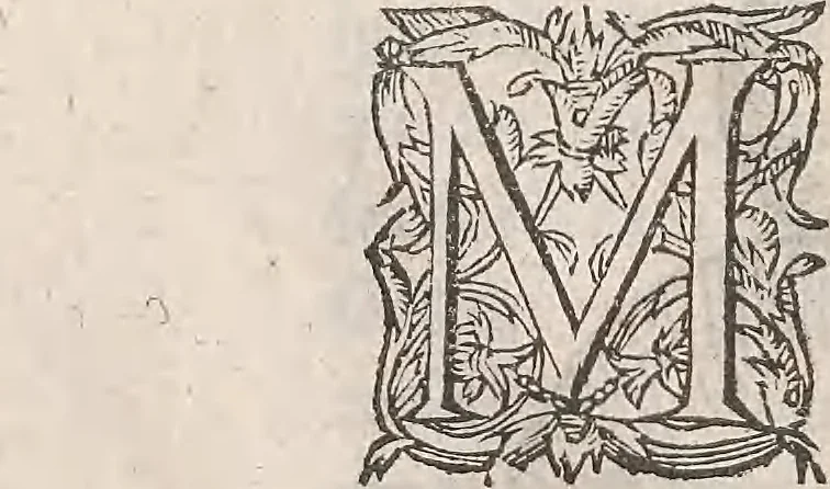An illustration from Guilielmi Gilberti Colcestrensis, medici londinensis, De magnete : magneticisque corporibus, et de magno magnete tellure; physiologia noua, plurimis & argumentis, & experimentis demonstrata, 1600, leaf 115