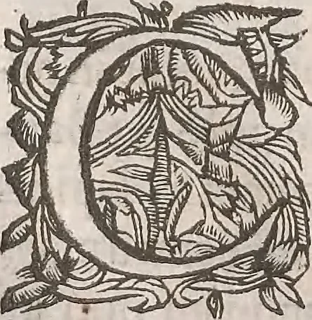 An illustration from Guilielmi Gilberti Colcestrensis, medici londinensis, De magnete : magneticisque corporibus, et de magno magnete tellure; physiologia noua, plurimis & argumentis, & experimentis demonstrata, 1600, leaf 117