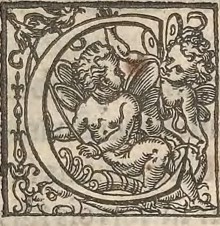 An illustration from Guilielmi Gilberti Colcestrensis, medici londinensis, De magnete : magneticisque corporibus, et de magno magnete tellure; physiologia noua, plurimis & argumentis, & experimentis demonstrata, 1600, leaf 120