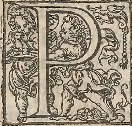 An illustration from Guilielmi Gilberti Colcestrensis, medici londinensis, De magnete : magneticisque corporibus, et de magno magnete tellure; physiologia noua, plurimis & argumentis, & experimentis demonstrata, 1600, leaf 120