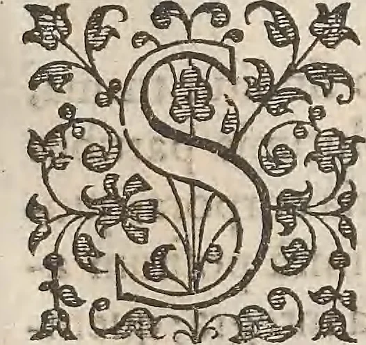 An illustration from Guilielmi Gilberti Colcestrensis, medici londinensis, De magnete : magneticisque corporibus, et de magno magnete tellure; physiologia noua, plurimis & argumentis, & experimentis demonstrata, 1600, leaf 124