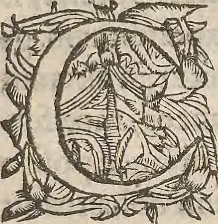 An illustration from Guilielmi Gilberti Colcestrensis, medici londinensis, De magnete : magneticisque corporibus, et de magno magnete tellure; physiologia noua, plurimis & argumentis, & experimentis demonstrata, 1600, leaf 128