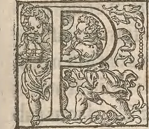 An illustration from Guilielmi Gilberti Colcestrensis, medici londinensis, De magnete : magneticisque corporibus, et de magno magnete tellure; physiologia noua, plurimis & argumentis, & experimentis demonstrata, 1600, leaf 130