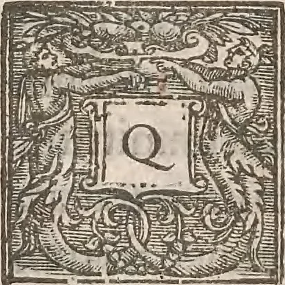 An illustration from Guilielmi Gilberti Colcestrensis, medici londinensis, De magnete : magneticisque corporibus, et de magno magnete tellure; physiologia noua, plurimis & argumentis, & experimentis demonstrata, 1600, leaf 133