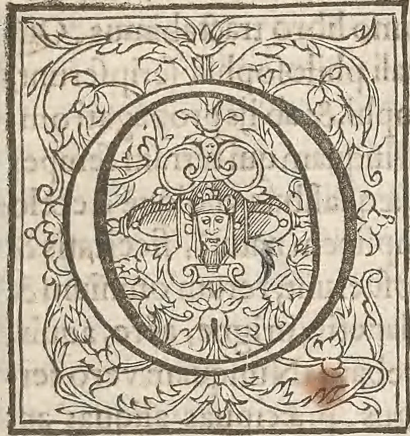 An illustration from Guilielmi Gilberti Colcestrensis, medici londinensis, De magnete : magneticisque corporibus, et de magno magnete tellure; physiologia noua, plurimis & argumentis, & experimentis demonstrata, 1600, leaf 136
