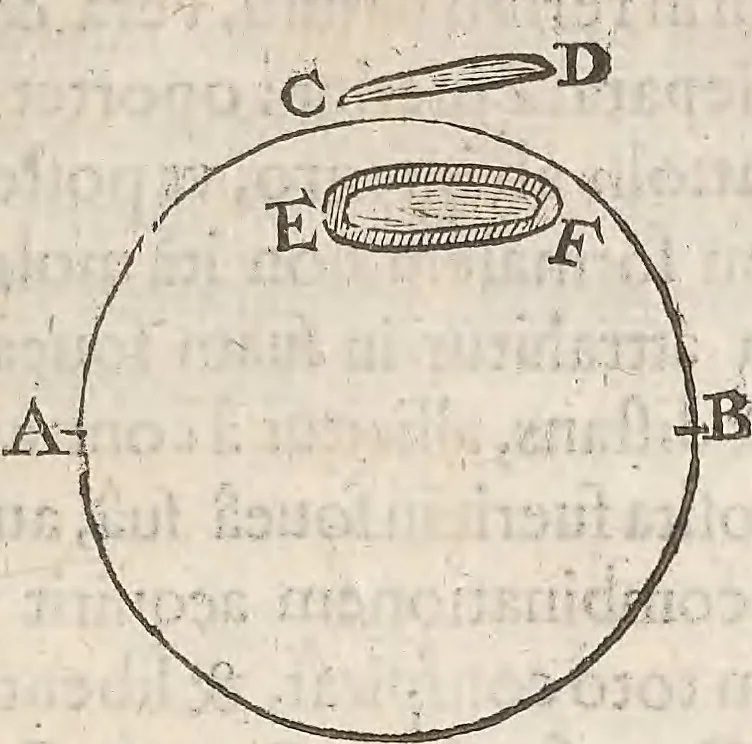 An illustration from Guilielmi Gilberti Colcestrensis, medici londinensis, De magnete : magneticisque corporibus, et de magno magnete tellure; physiologia noua, plurimis & argumentis, & experimentis demonstrata, 1600, leaf 142