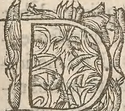 An illustration from Guilielmi Gilberti Colcestrensis, medici londinensis, De magnete : magneticisque corporibus, et de magno magnete tellure; physiologia noua, plurimis & argumentis, & experimentis demonstrata, 1600, leaf 146