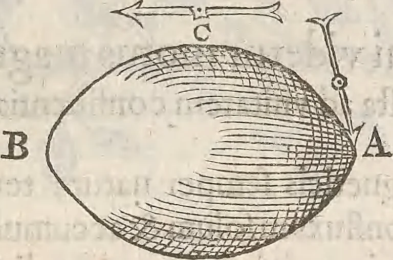 An illustration from Guilielmi Gilberti Colcestrensis, medici londinensis, De magnete : magneticisque corporibus, et de magno magnete tellure; physiologia noua, plurimis & argumentis, & experimentis demonstrata, 1600, leaf 150