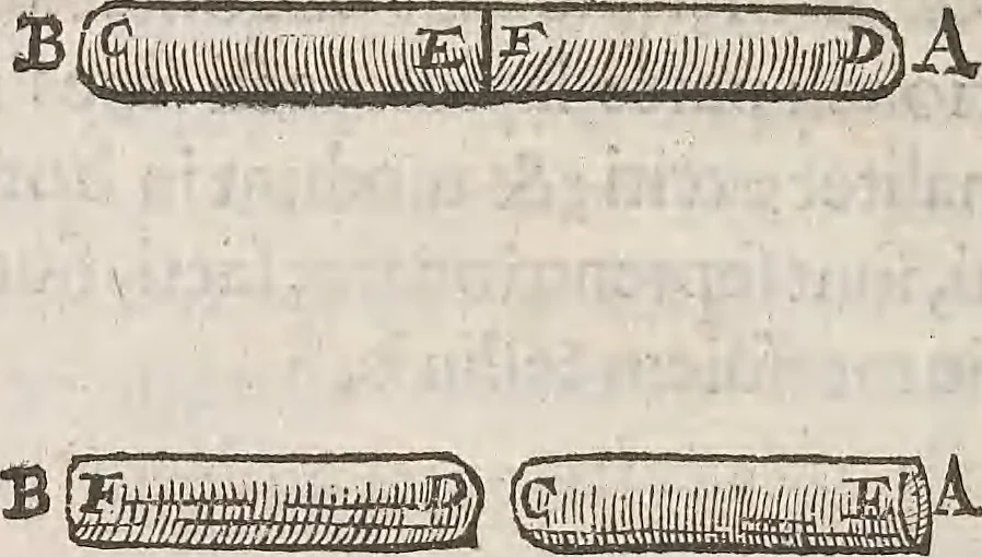 An illustration from Guilielmi Gilberti Colcestrensis, medici londinensis, De magnete : magneticisque corporibus, et de magno magnete tellure; physiologia noua, plurimis & argumentis, & experimentis demonstrata, 1600, leaf 151