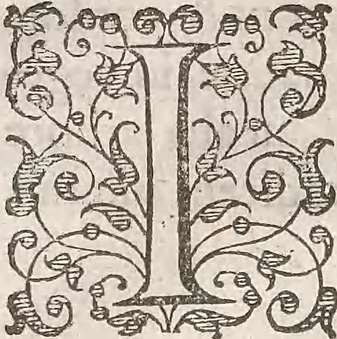 An illustration from Guilielmi Gilberti Colcestrensis, medici londinensis, De magnete : magneticisque corporibus, et de magno magnete tellure; physiologia noua, plurimis & argumentis, & experimentis demonstrata, 1600, leaf 153