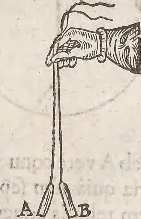 An illustration from Guilielmi Gilberti Colcestrensis, medici londinensis, De magnete : magneticisque corporibus, et de magno magnete tellure; physiologia noua, plurimis & argumentis, & experimentis demonstrata, 1600, leaf 154