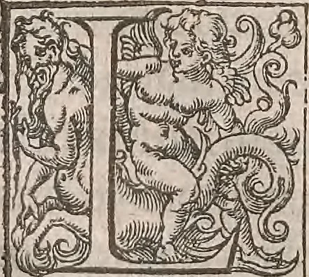 An illustration from Guilielmi Gilberti Colcestrensis, medici londinensis, De magnete : magneticisque corporibus, et de magno magnete tellure; physiologia noua, plurimis & argumentis, & experimentis demonstrata, 1600, leaf 163