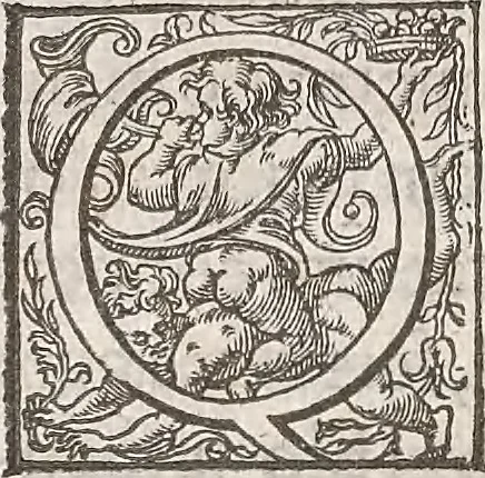 An illustration from Guilielmi Gilberti Colcestrensis, medici londinensis, De magnete : magneticisque corporibus, et de magno magnete tellure; physiologia noua, plurimis & argumentis, & experimentis demonstrata, 1600, leaf 165