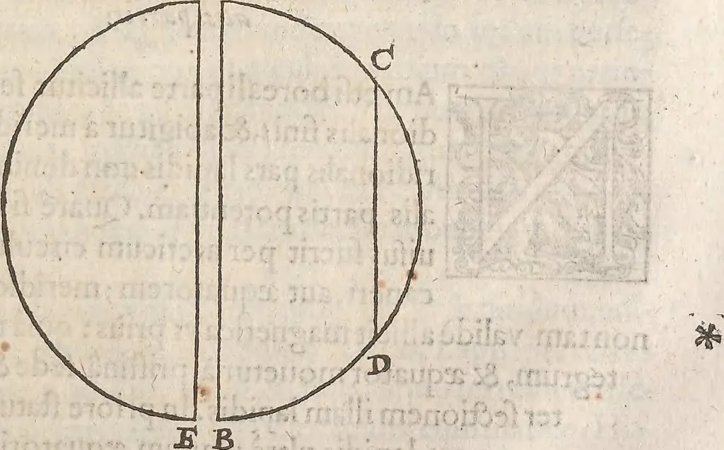 An illustration from Guilielmi Gilberti Colcestrensis, medici londinensis, De magnete : magneticisque corporibus, et de magno magnete tellure; physiologia noua, plurimis & argumentis, & experimentis demonstrata, 1600, leaf 166